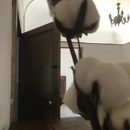 Frühstückspension Donna Elena 3*